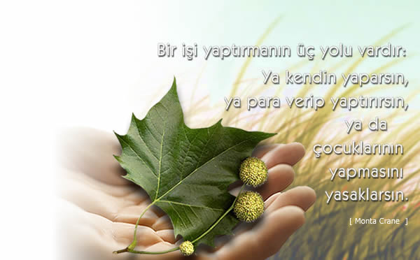 ViaNorm Yönetim Danışmanlığı A.Ş.: Aile Şirketleri Yönetim Danışmanlığı