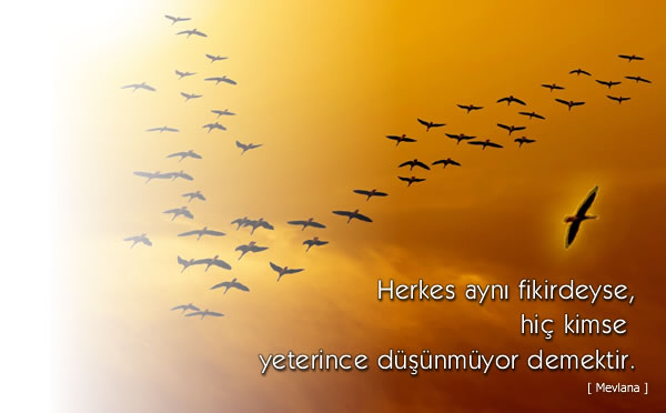 ViaNorm Yönetim Danışmanlığı A.Ş.