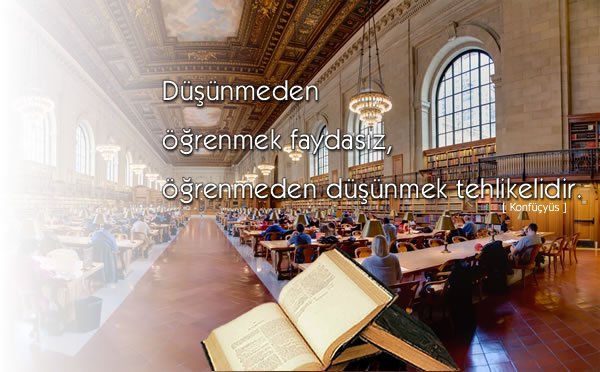 ViaNorm Yönetim Danışmanlığı A.Ş.: Eğitim Hizmetleri