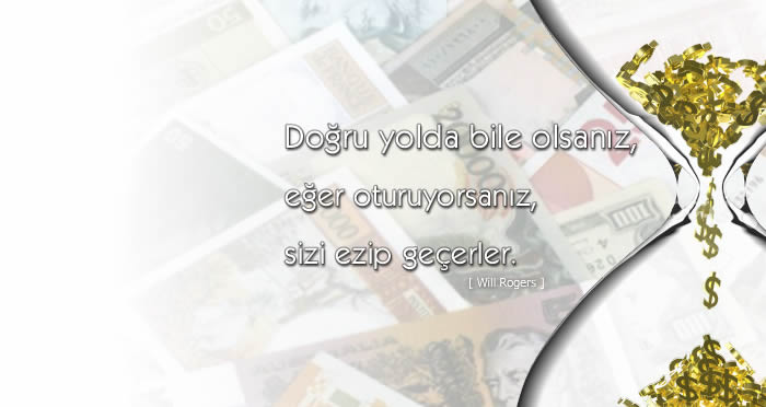 ViaNorm Yönetim Danışmanlığı A.Ş.: Finansman Danışmanlığı