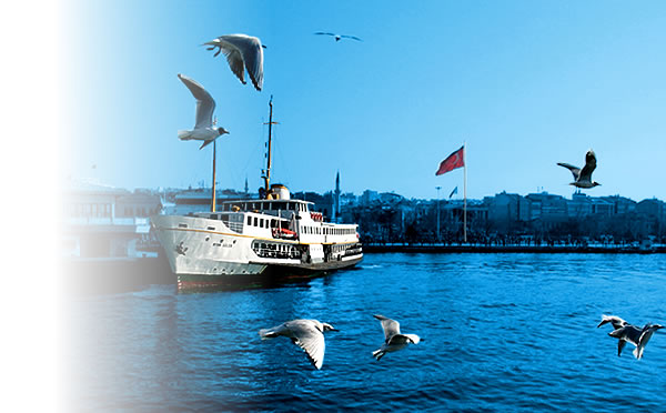 ViaNorm Yönetim Danışmanlığı A.Ş.: Şirketimiz